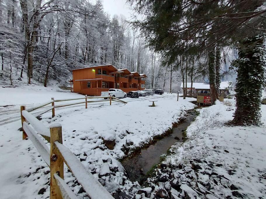 Cute Cabin Creek & Firepit #12 Helen Buitenkant foto
